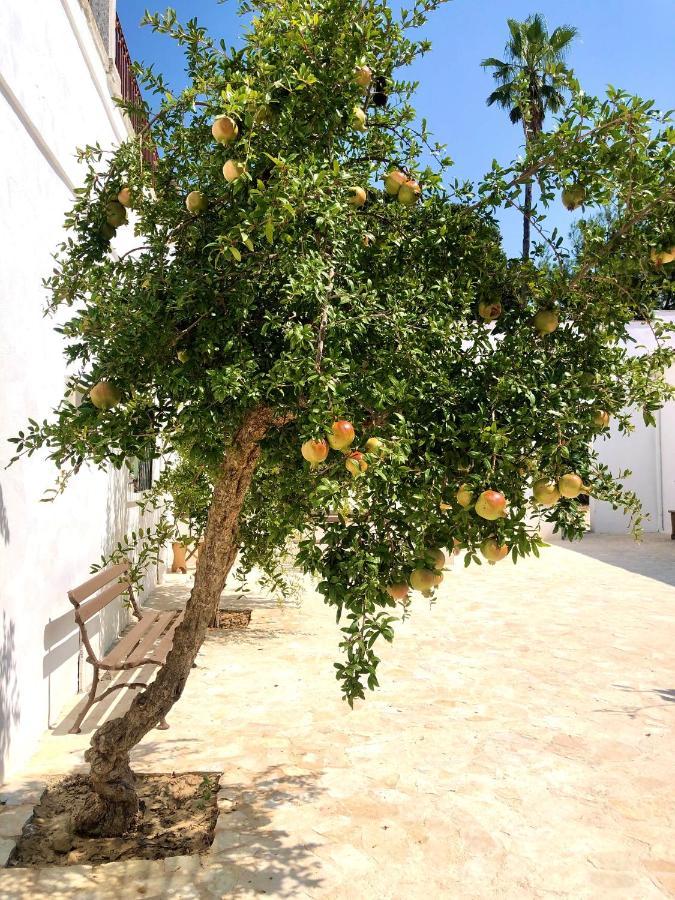 Masseria Villa Gioia โคราโต ภายนอก รูปภาพ