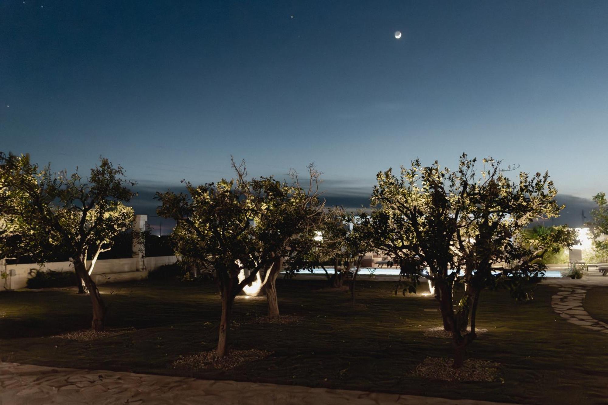 Masseria Villa Gioia โคราโต ภายนอก รูปภาพ